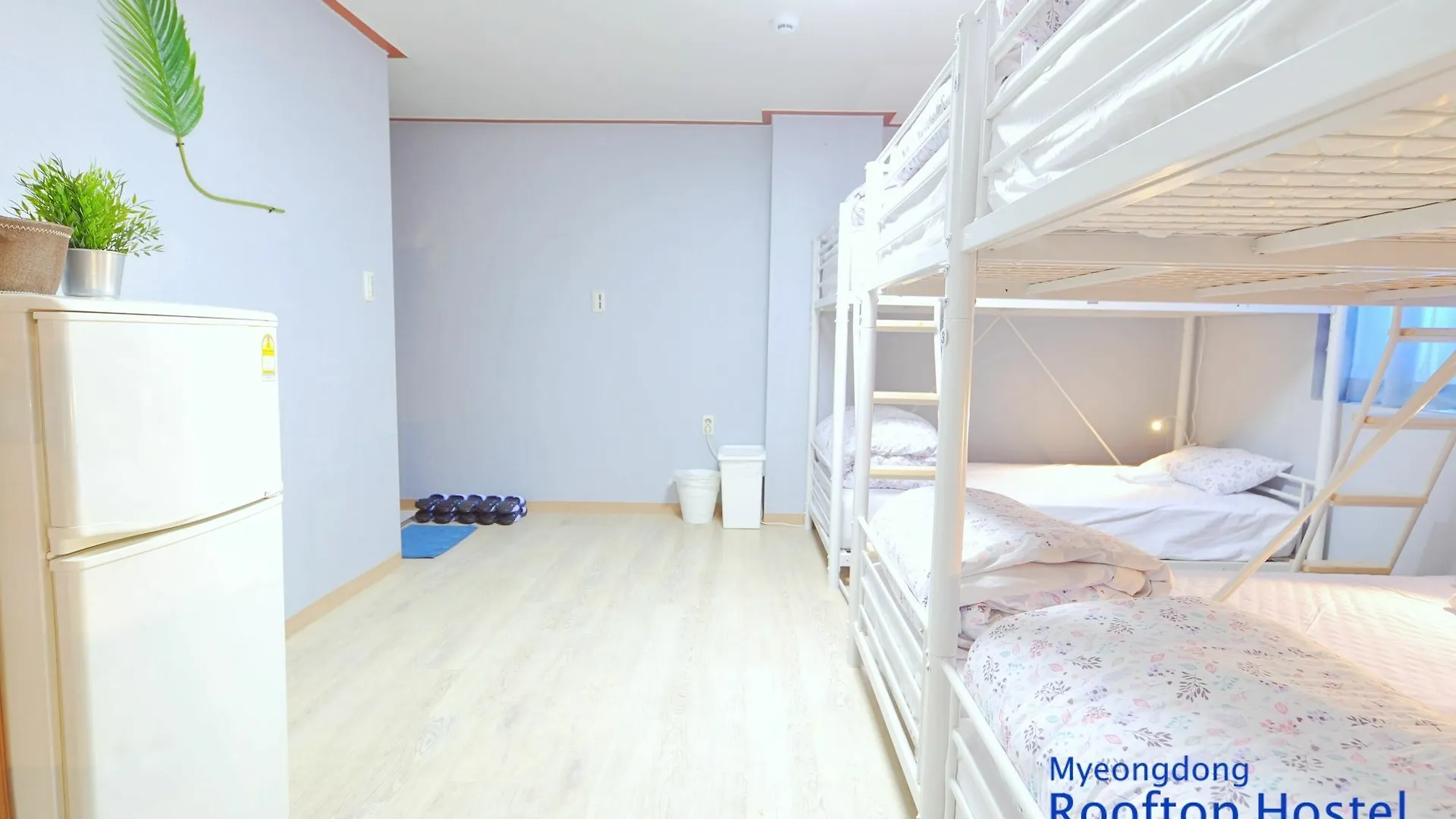 Myeongdong Rooftop Hostel Σεούλ 0*,